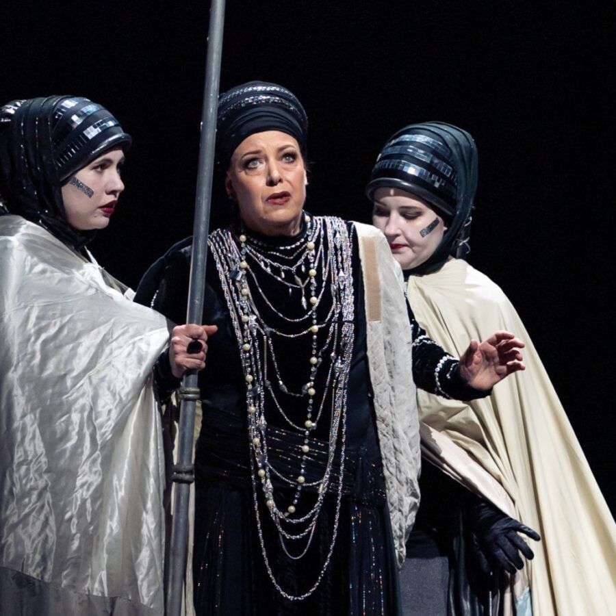 Nina Stemme Elektra Wiener Staatsoper 2025